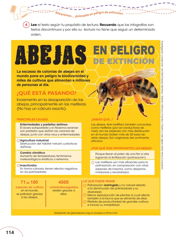 Abejas en peligro de extinción - 6.° grado de Primaria (MINEDU) PDF 1 Portada de Abejas en peligro de extinción - 6.° grado de Primaria - MINEDU
