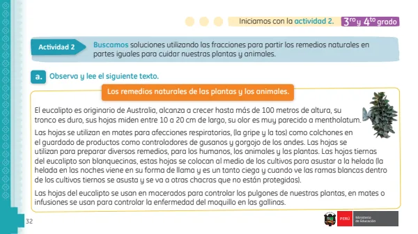 Buscamos soluciones utilizando las fracciones para partir los remedios naturales en partes iguales para cuidar nuestras plantas y animales (MINEDU) PDF 1 Portada de Buscamos soluciones utilizando las fracciones para partir los remedios naturales - Primaria - MINEDU