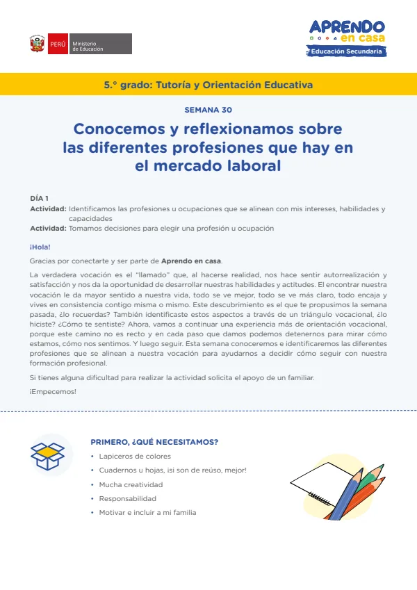 Conocemos y reflexionamos sobre las diferentes profesiones que hay en el mercado laboral (MINEDU) PDF 1 Portada de Conocemos y reflexionamos sobre las diferentes profesiones que hay en el mercado - 5.º grado de Secundaria - MINEDU