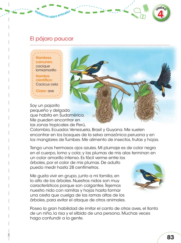 El pájaro Pauca - 3.° grado de Primaria (MINEDU) PDF 1 Portada de El pájaro Pauca - 3.° grado de Primaria - MINEDU