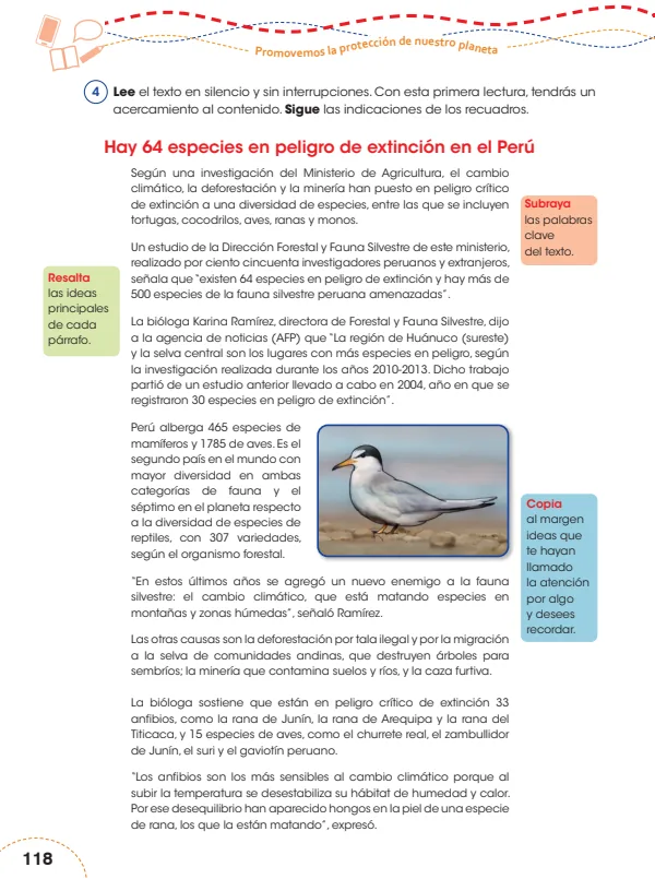 Hay 64 especies en peligro de extinción en el Perú - 5.° grado de Primaria (MINEDU) PDF 1 Portada de Hay 64 especies en peligro de extinción en el Perú - 5.° grado de Primaria - MINEDU