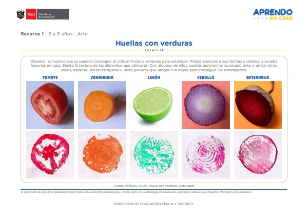 Huellas con verdura: recurso, 1. 3 a 5 años, Arte (MINEDU) PDF 1 Portada de Huellas con verdura: recurso, 1. 3 a 5 años, Arte - MINEDU