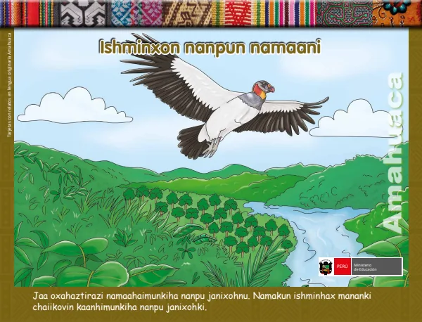Ishminxon nanpun namaani: tarjetas con relatos en lengua originaría Amahuaca - Primaria (MINEDU) PDF 1 Portada de Ishminxon nanpun namaani: tarjetas con relatos en lengua originaría Amahuaca - Primaria - MINEDU