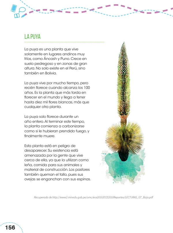 La puya - 4.° grado de Primaria (MINEDU) PDF 1 Portada de La puya - 4.° grado de Primaria - MINEDU