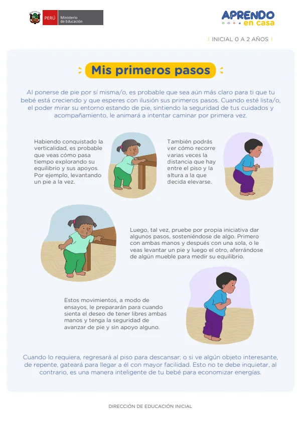Mis primeros pasos - Inicial 0 a 2 años (MINEDU) PDF 1 Portada de Mis primeros pasos - Inicial 0 a 2 años - MINEDU