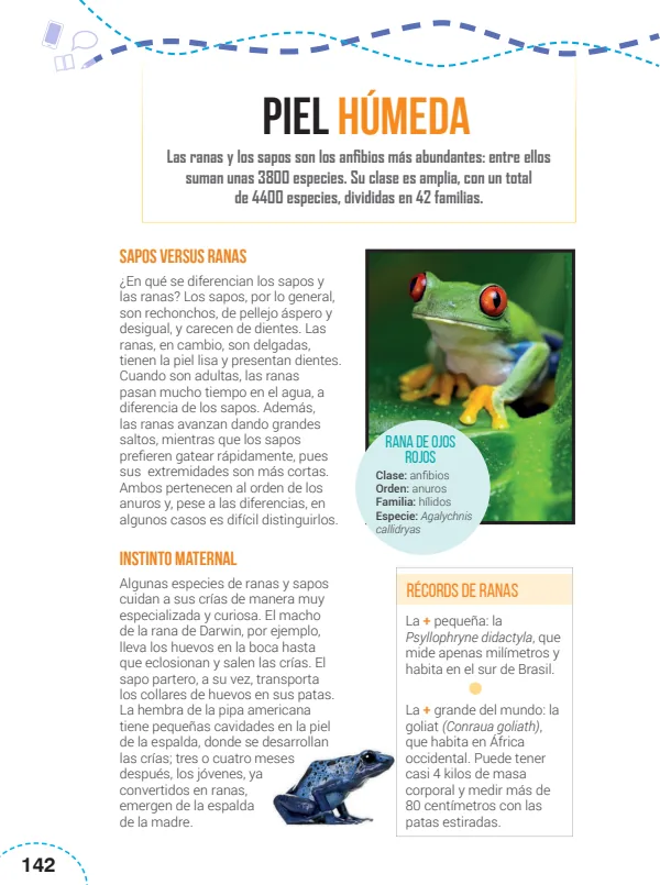 Piel húmeda - 5.° grado de Primaria (MINEDU) PDF 1 Portada de Piel húmeda - 5.° grado de Primaria - MINEDU