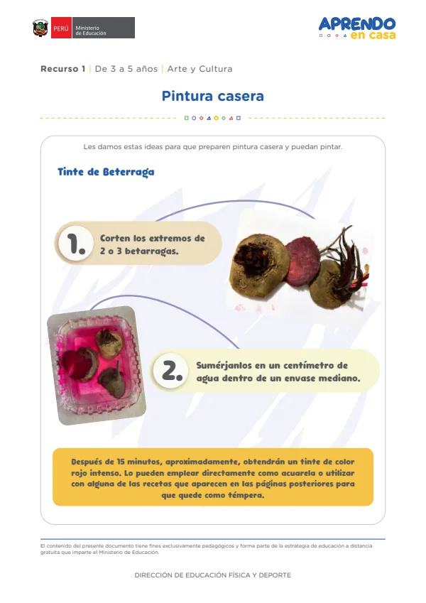 Pintura casera - Educación Inicial (MINEDU) PDF 1 Portada de Pintura casera - Educación Inicial - MINEDU