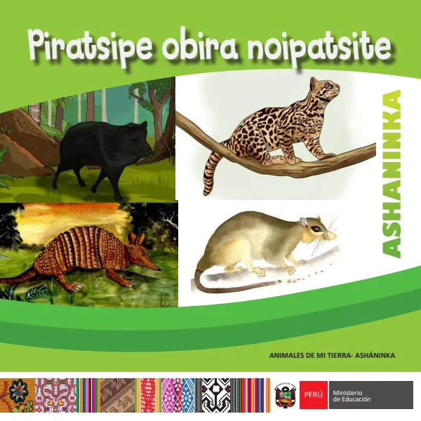 Piratsipe obira noipatsite. Animales de mi Tierra - Primaria IV - Ashaninka (MINEDU) PDF 1 Portada de Piratsipe obira noipatsite. Animales de mi Tierra - Primaria IV - Ashaninka - MINEDU