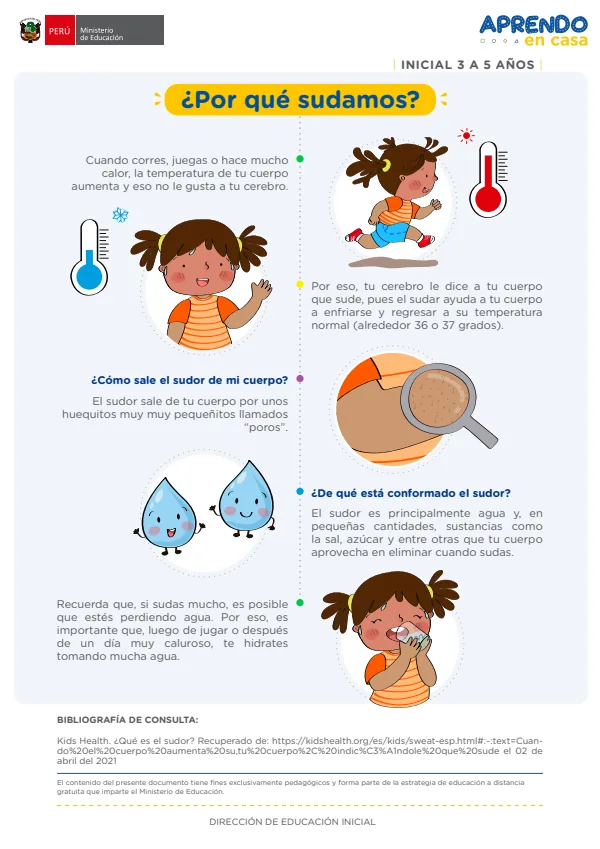 ¿Por qué sudamos?. Inicial 3 a 5 años - infografía (MINEDU) PDF 1 Portada de ¿Por qué sudamos?. Inicial 3 a 5 años - infografía - MINEDU