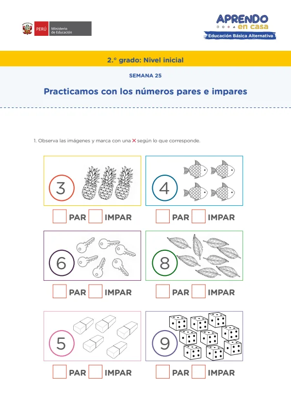 Practicamos con los números pares e impares - Educación Inicial (MINEDU) PDF 1 Portada de Practicamos con los números pares e impares - Educación Inicial - Educación Básica Alternativa (EBA) - MINEDU