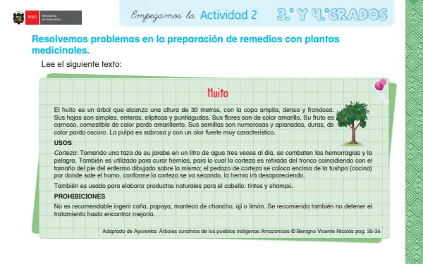 Resolvemos problemas en la preparación de remedios con plantas medicinales (MINEDU) PDF 1 Portada de Resolvemos problemas en la preparación de remedios con plantas medicinales: Empezamos - Primaria - MINEDU