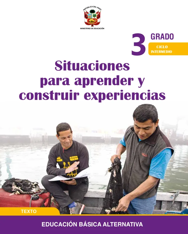 Situaciones para aprender y construir experiencias 3 Tercer grado - Ciclo intermedio (MINEDU) PDF 1 Portada de Situaciones para aprender y construir experiencias 3 Tercer grado - Ciclo intermedio - Educación Básica Alternativa (EBA) - MINEDU