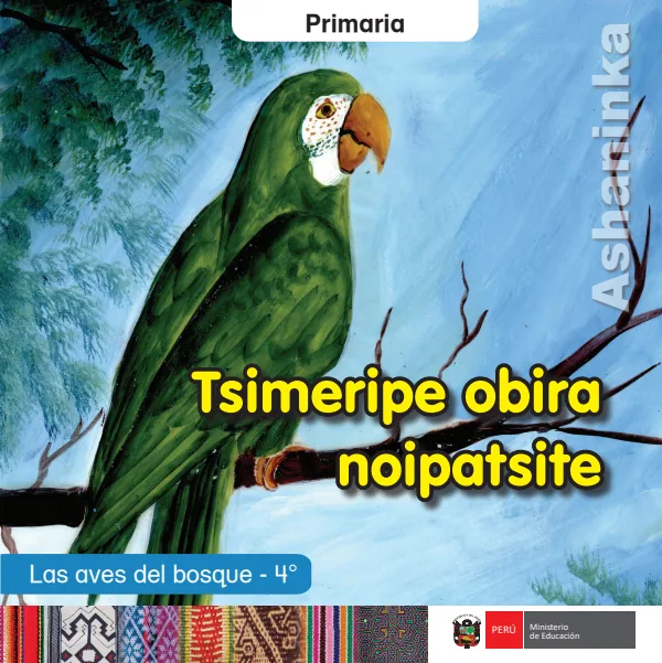 Tsimeripe obira noipatsite = Las aves del bosque - 4. grado de primaria - Ashaninka (MINEDU) PDF 1 Portada de Tsimeripe obira noipatsite = Las aves del bosque - 4. grado de primaria - Ashaninka - MINEDU
